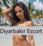 Diyarbakır Escort Bayan